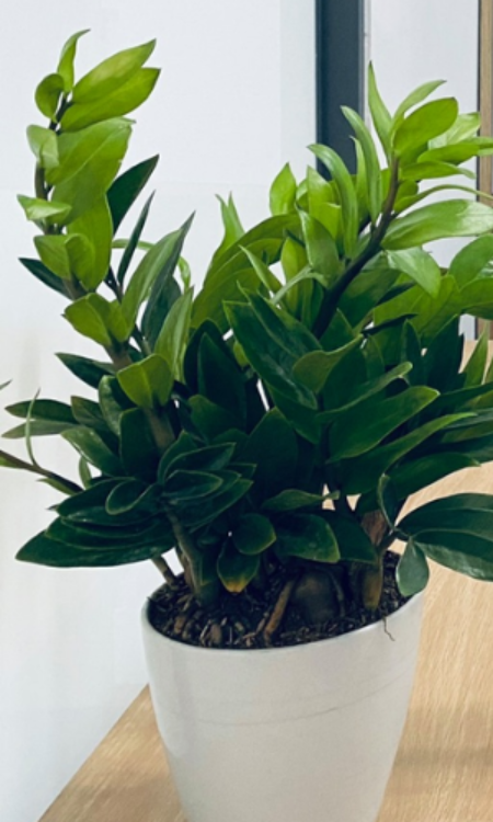 Văn phòng trọn gói TP Office, Huỵen Bình Chánh, TP.HCM - Vlook.vn